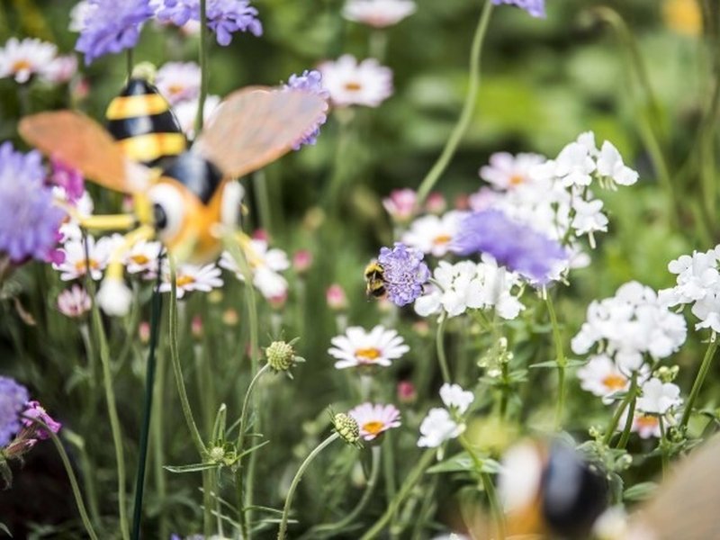 Your Bloomin' Lovely Guide to the Manchester Flower Show